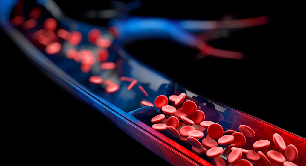 Close up 3D render of red blood cells flowing through vein